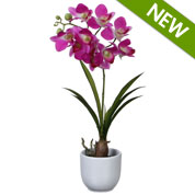 plante artificielle - orchidee bambou violet -mica